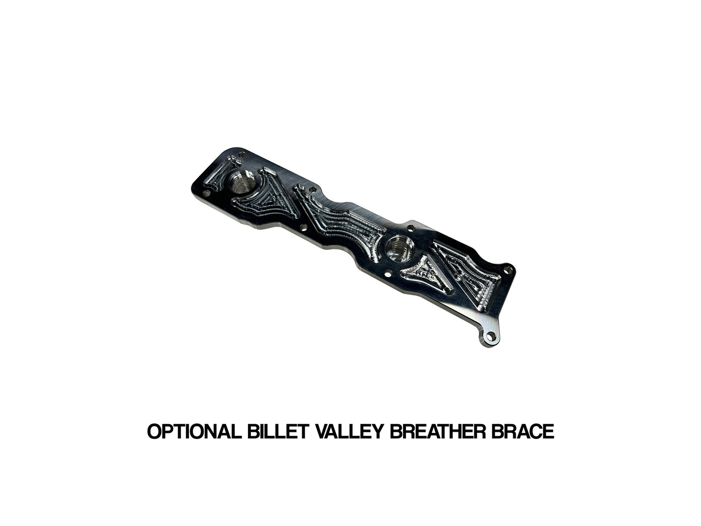 TRP Total Racing Products Competition dual-stage catch can system with K&N breathers for Nissan GT-R R35 VR38DETT